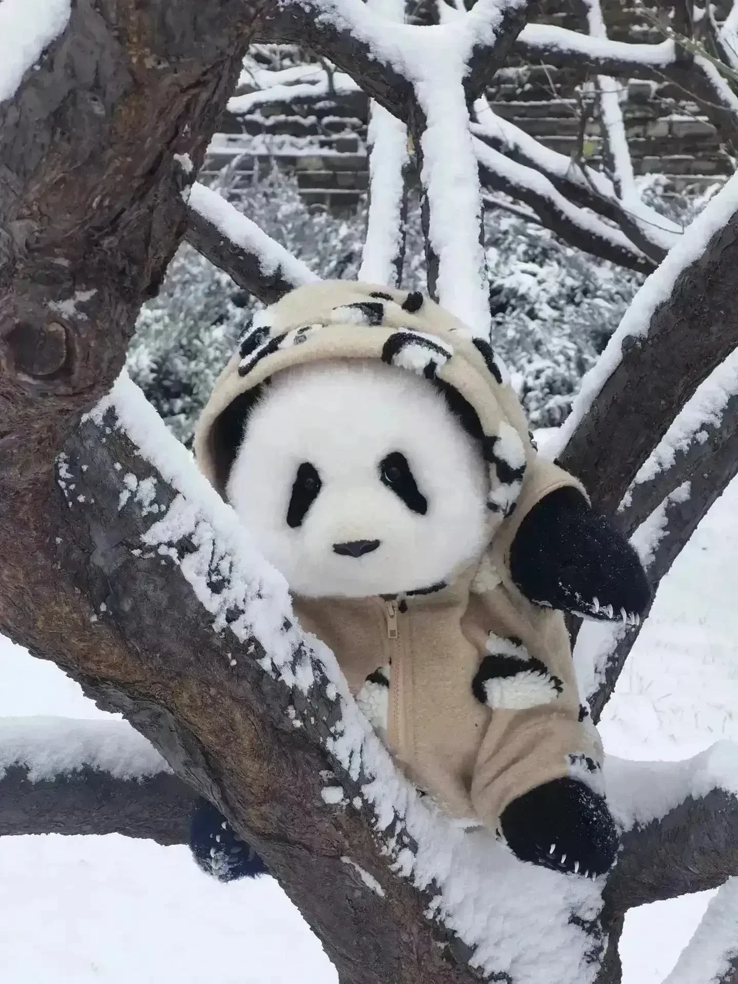 Bamboo Buddy Realistic Panda Plushie (38 cm) - Image 10