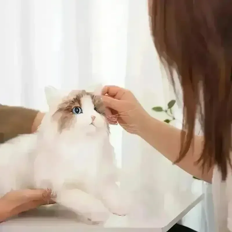 Chongker Hyper Realistic Ragdoll Cat - Image 4