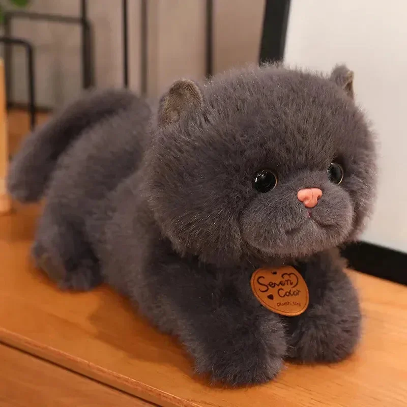 Kitty Comfort Plushies - Image 10