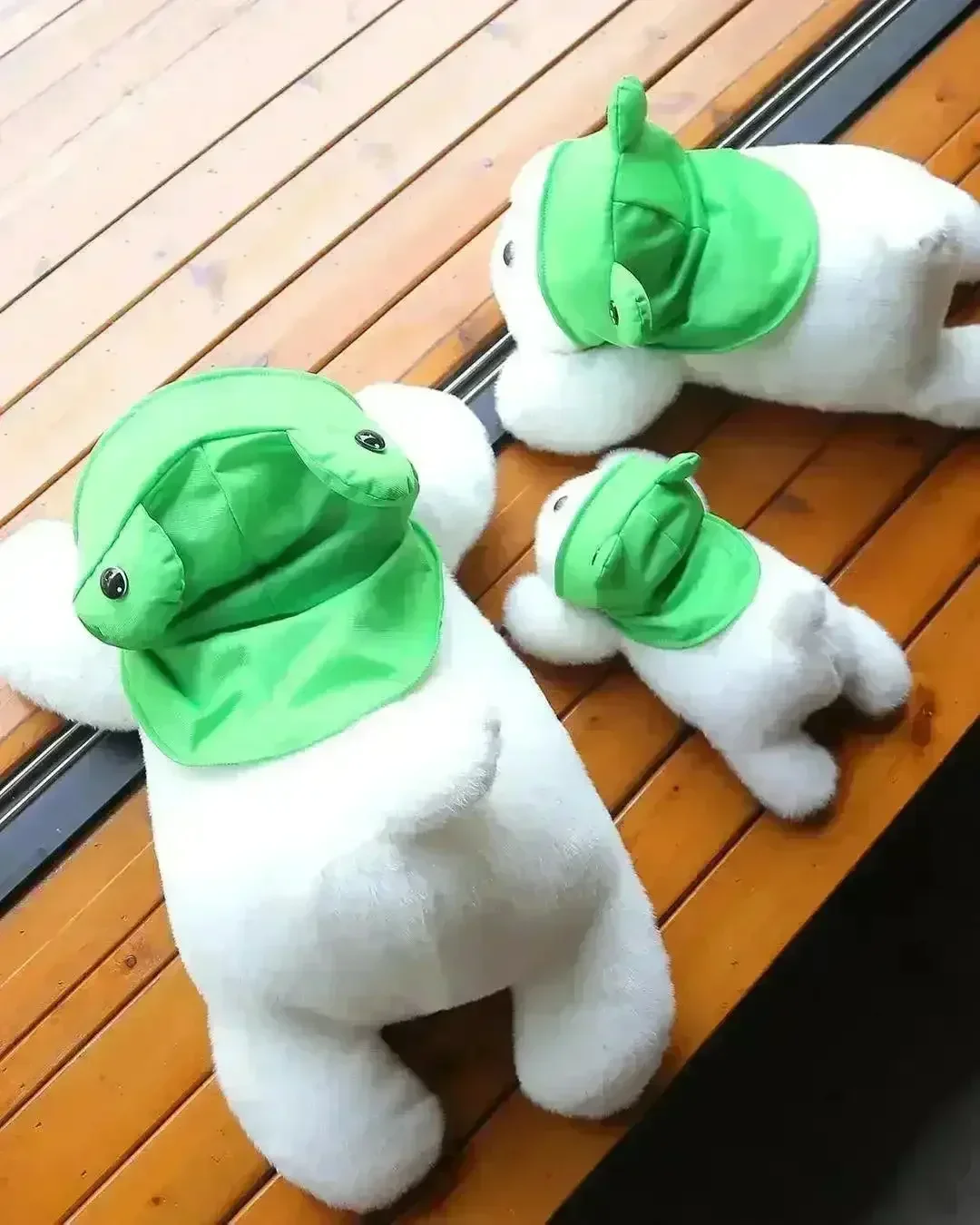 Cute Frog Dog Plush Toy - Image 4