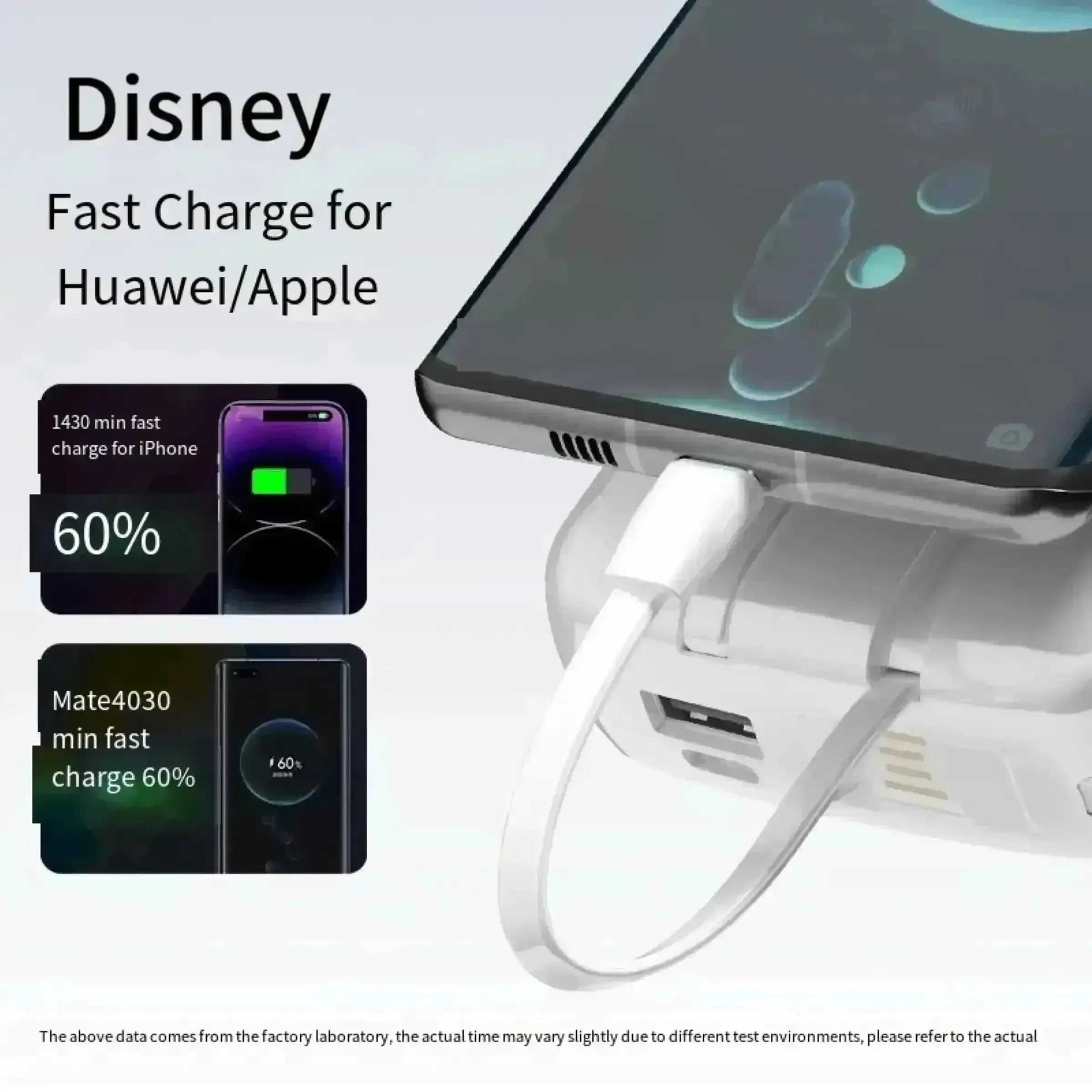 DSNY Fast-Charging Power Bank With Dual Cables - Image 2