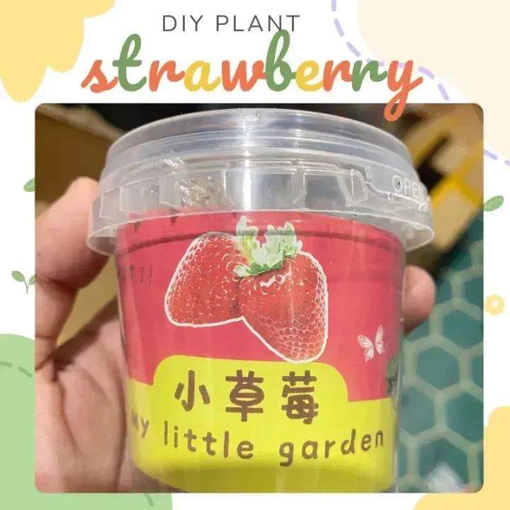 My Little Garden DIY Indoor Plant Kit - Image 11