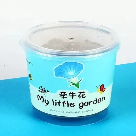 My Little Garden DIY Indoor Plant Kit - Image 24