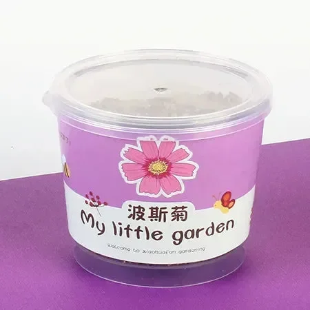 My Little Garden DIY Indoor Plant Kit - Image 26