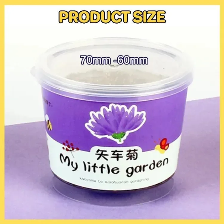 My Little Garden DIY Indoor Plant Kit - Image 6