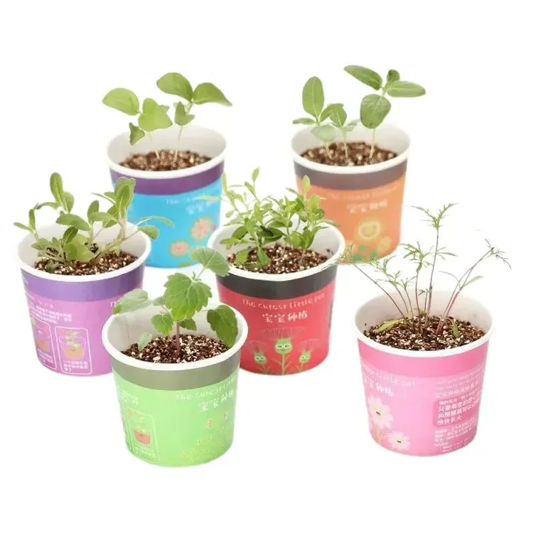 My Little Garden DIY Indoor Plant Kit - Image 7
