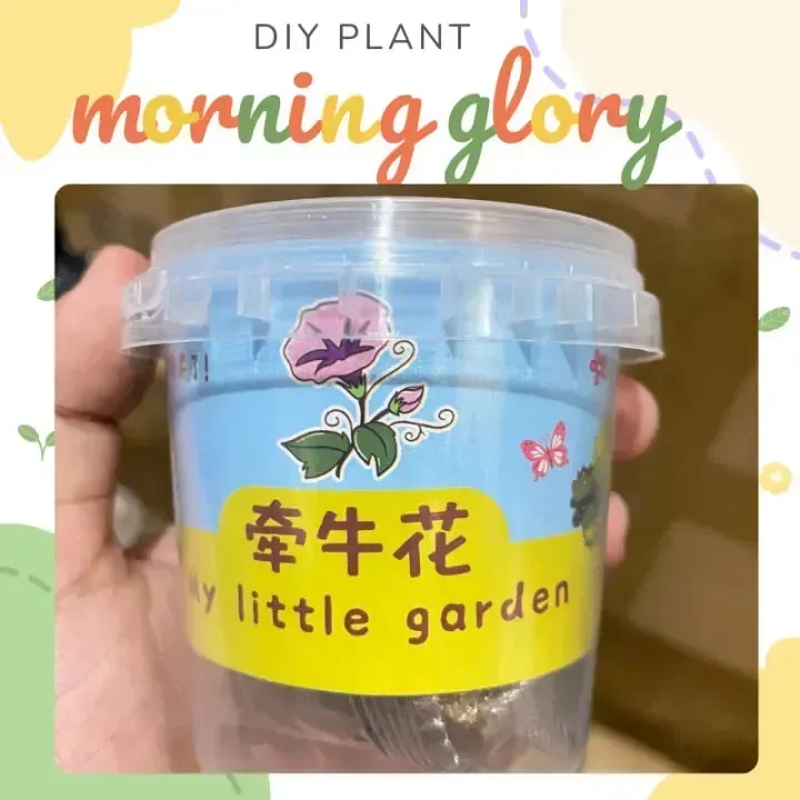 My Little Garden DIY Indoor Plant Kit - Image 9