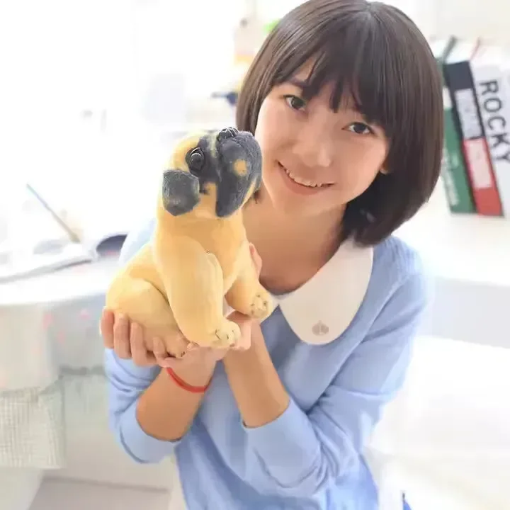 Pocket Pug Realistic Plushie - Image 6
