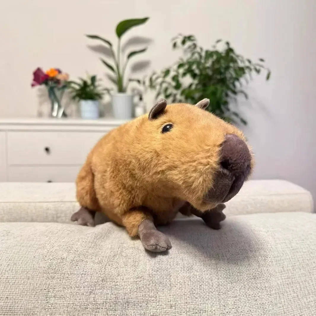 Realistic Capybara Plush Pal (30 cm) - Image 4