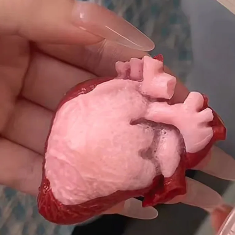 Realistic Heart-Shaped Squishy Toy - Image 3