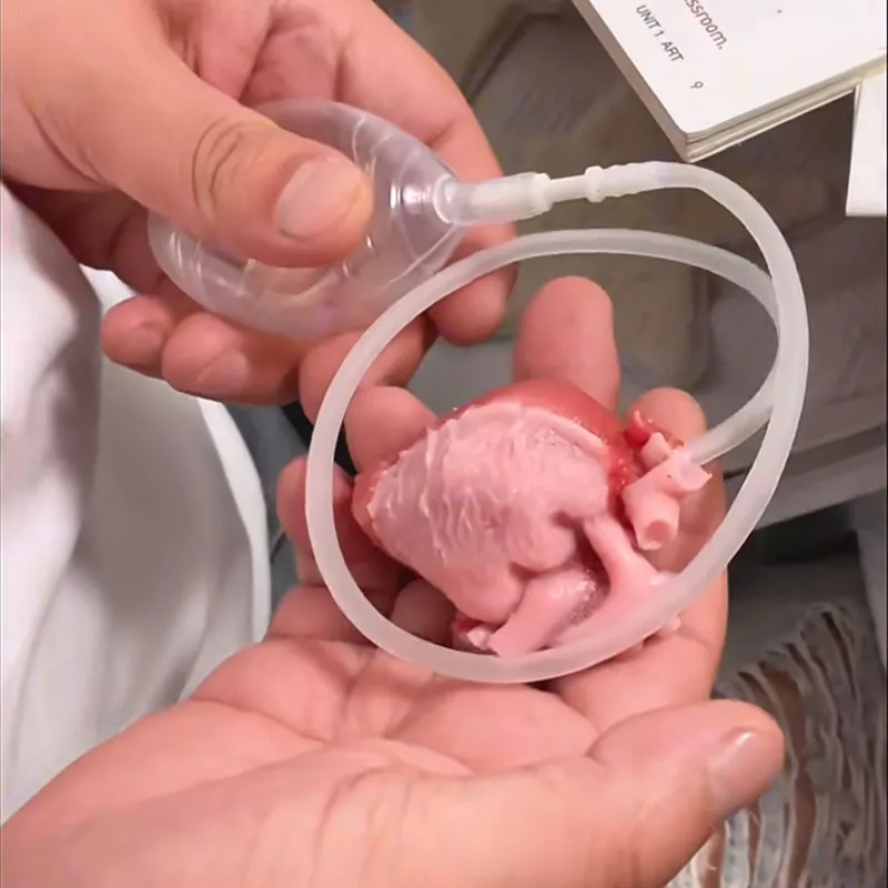 Realistic Heart-Shaped Squishy Toy - Image 5