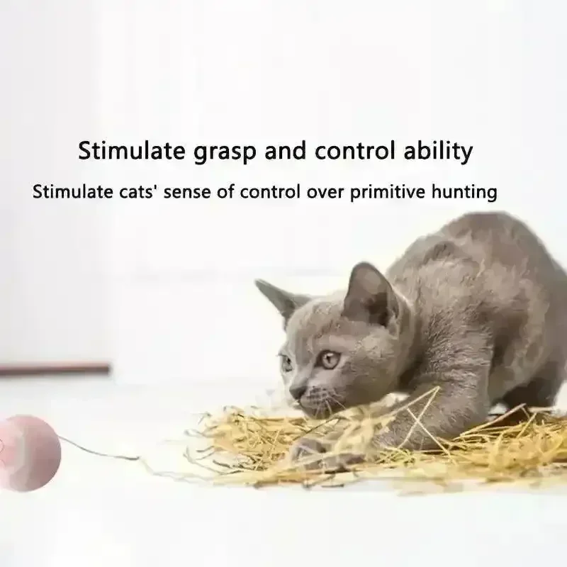 Self-Rotating Interactive Cat Toy Ball - Image 7