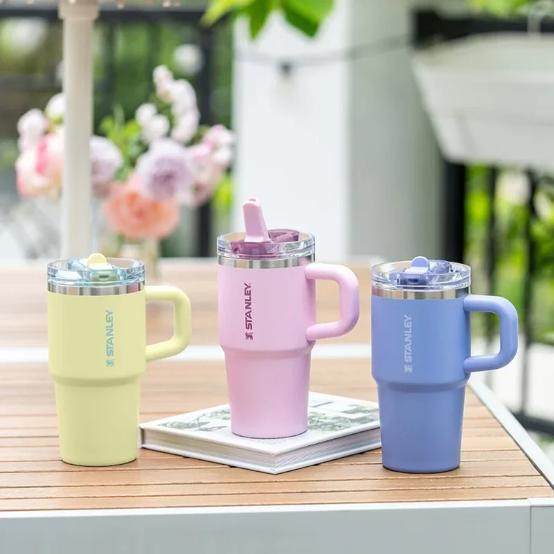 Stanley Quencher ProTour Flip Straw Tumbler (20 Oz)